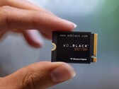 Lungo solo 3 cm (Fonte immagine: WD)