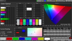 CalMAN AdobeRGB spazio colore