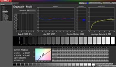 CalMAN: scala di grigi (calibrato)