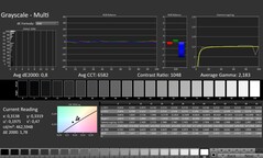 CalMAN: scale di grigio (calibrate)