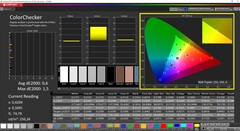 CalMAN: ColorChecker (calibrato)