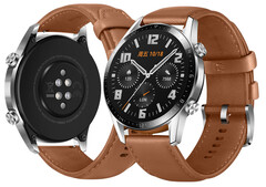 Huawei continua ad aggiornare il Watch GT 2, oltre due anni dopo la sua uscita. (Fonte: Huawei)