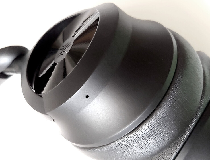 Padiglione auricolare sinistro.