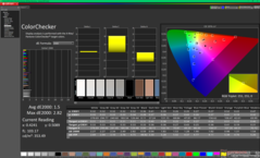 ColorChecker (rispetto a sRGB)