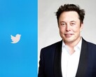 Elon Musk vuole acquistare Twitter, nonostante in precedenza avesse affermato che la piattaforma aveva dichiarato in modo errato il numero di account di spam. (Fonte: The Royal Society, a cura di)