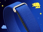 Fitbit Air sta per lanciare una Pokémon Sleep Special Edition.