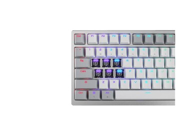 Dispone anche di un'illuminazione RGB rivolta a nord. (Fonte: Asus)