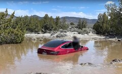 L&#039;FSD di Tesla ha condotto questa particolare Model 3 in una fossa acquosa. (Fonte: Wham Baam Teslacam su YouTube)