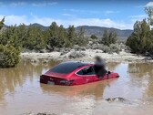 L'FSD di Tesla ha condotto questa particolare Model 3 in una fossa acquosa. (Fonte: Wham Baam Teslacam su YouTube)