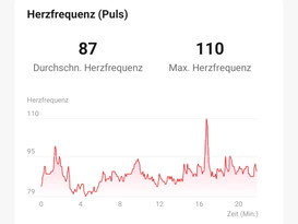 Misurazione della frequenza cardiaca di Honor Watch GS 3