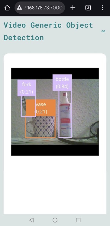 Il riconoscimento delle immagini funziona ragionevolmente bene anche con una vecchia webcam e il modello preconfigurato (fonte: Notebookcheck)