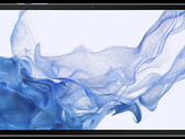 Il Galaxy Tab S8 Plus potrebbe avere un display OLED da 12,4 pollici (fonte: SamMobile)