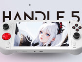 Terrans Force Handle 5 è disponibile in due configurazioni, entrambe con chipset AMD Ryzen 7 PRO 7840U. (Fonte: Terrans Force)