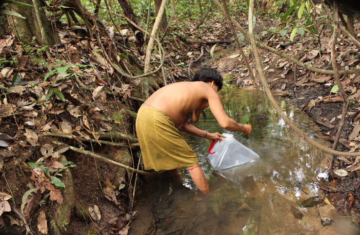 Donna che prende l'acqua da un fiume (immagine: Fondazione Yanomami)