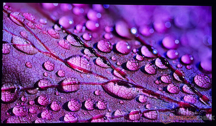 L'iPhone 16 Pro utilizzato può catturare la qualità dell'immagine di Aetherion Max solo in misura limitata.