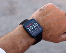 Il Venu X1 ha acquisito diverse nuove funzioni con il suo ultimo aggiornamento beta. (Fonte: Garmin)