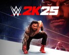 Striscione di WWE 2K25 (Fonte: Sony PlayStation, Take-Two Interactive con modifiche)