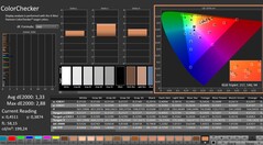 CalMAN: ColorChecker (calibrato)