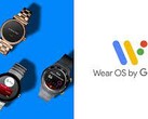 Wear OS potrebbe ricevere presto una nuova funzione. (Fonte: Google)