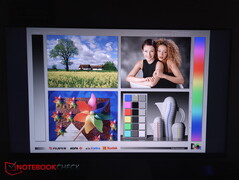 Visualizzazione diretta