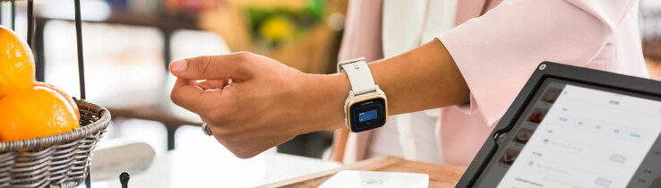 La funzione Garmin Pay (mostrata sopra) sarà ribattezzata Garmin Wallet. (Fonte: Garmin)