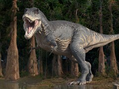 La vita sulla Terra sarebbe stata molto diversa se i dinosauri non si fossero estinti. (Fonte: ROGER HARRIS/SCIENCE PHOTO LIBRARY)