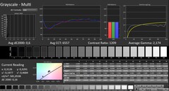 CalMAN: scala di grigi (calibrata)