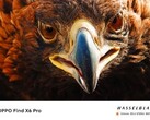 Il Find X6 Pro: un maestro del teleobiettivo? (Fonte: OPPO)