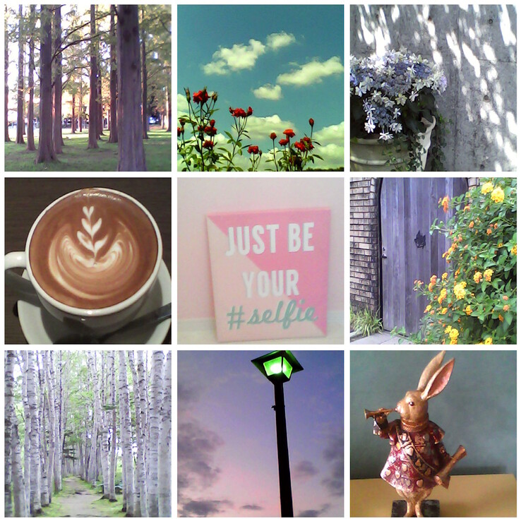 Foto di esempio scattate con la fotocamera giocattolo Kenko Tokina Pieni II. (Fonte: Kenko Tokina)