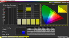 Saturazione CalMAN (calibrata)