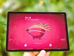 Samsung Galaxy Tab S10 Lite in recensione. (Fonte: Marcus Herbrich)