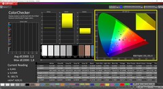 CalMAN ColorChecker calibrato (spazio colore target P3)