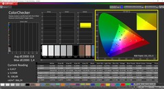 CalMAN ColorChecker (profilo sRGB)