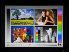 Ampi angoli di visione IPS