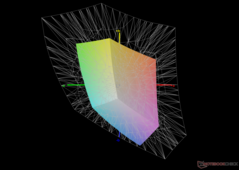 vs. Display P3: 40,7% di copertura