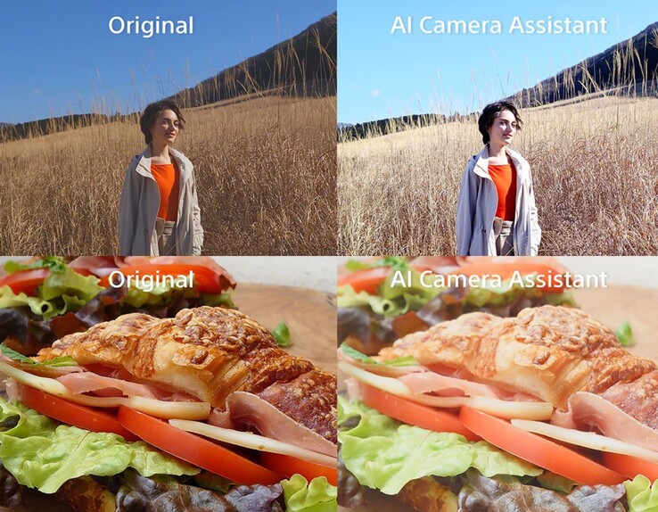 Gli appassionati di fotografia ritengono che le immagini 