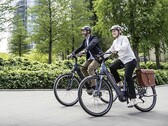 L'e-bike Diamant Mandara 160 Gen 3 può supportare carichi fino a 169 kg (~353 lbs). (Fonte: Trek Bikes)