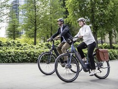 L&#039;e-bike Diamant Mandara 160 Gen 3 può supportare carichi fino a 169 kg (~353 lbs). (Fonte: Trek Bikes)