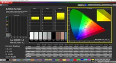 CalMAN ColorChecker (profilo: P3, spazio colore di destinazione: P3)