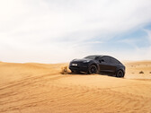 L'obiettivo di Tesla con l'FSD è quello di rendere i suoi veicoli più sicuri, nonostante l'immagine di "muoversi velocemente e rompere le cose". (Fonte: Tesla)