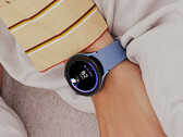 Non è chiaro se One UI 5 Watch rimarrà basato su Wear OS 3.5. (Fonte: Samsung)