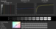 CalMAN scala di grigi calibrato