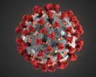 Vuoi aiutare a contrastare il Covid-19? Tra poco sarà possibile con FAH (Source: CDC)