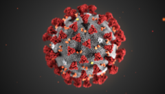 Vuoi aiutare a contrastare il Covid-19? Tra poco sarà possibile con FAH (Source: CDC)