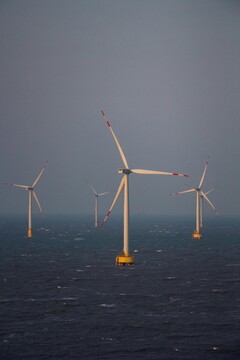 Parco eolico offshore. Immagine di riferimento. (Fonte immagine: Pexels)