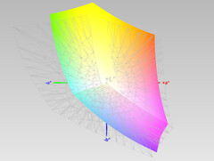 Copertura dello spazio colore: Adobe RGB (63,45%)