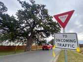 La quercia Jolene sulla Old Stagecoach Road a Kyle, in Texas (Fonte immagine: Maya Fawa/KUT News)