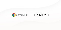 Google acquisisce Cameyo (Fonte: Google Cloud Blog)