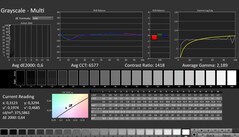 CalMAN: scala di grigi (calibrata)