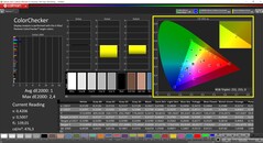 CalMAN ColorChecker calibrato